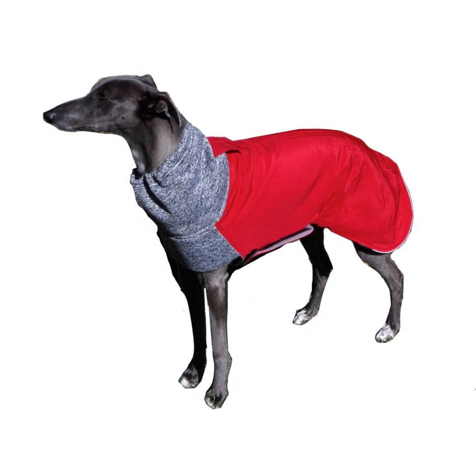 Coat Greyhound Whippet Red