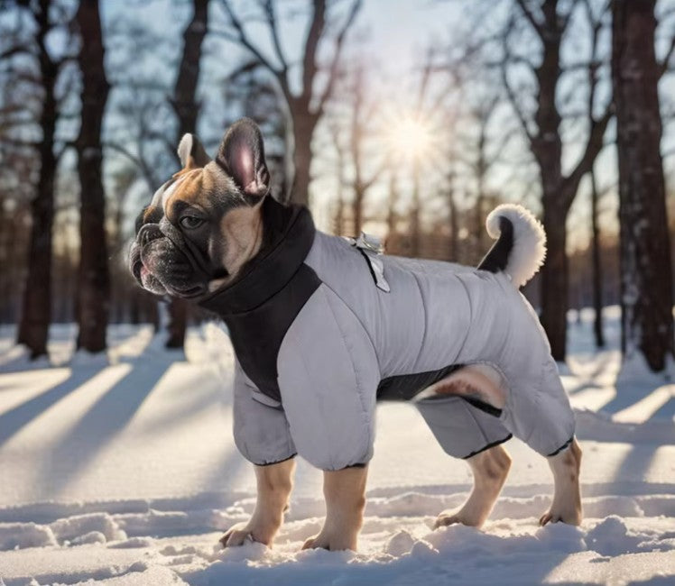 Puffer Jumpsuit Snowsuit