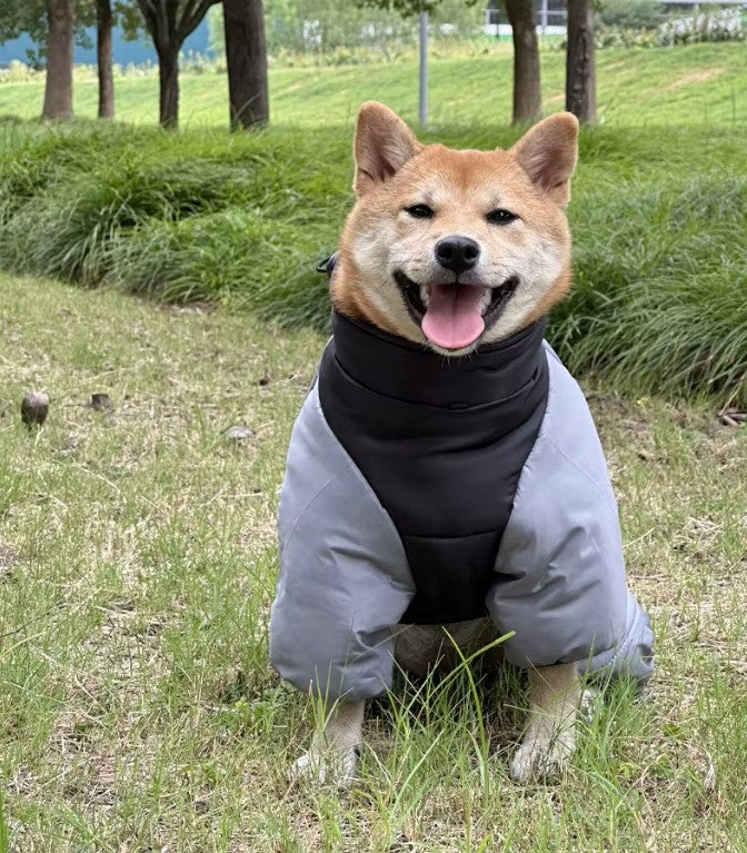 Puffer Jumpsuit Snowsuit