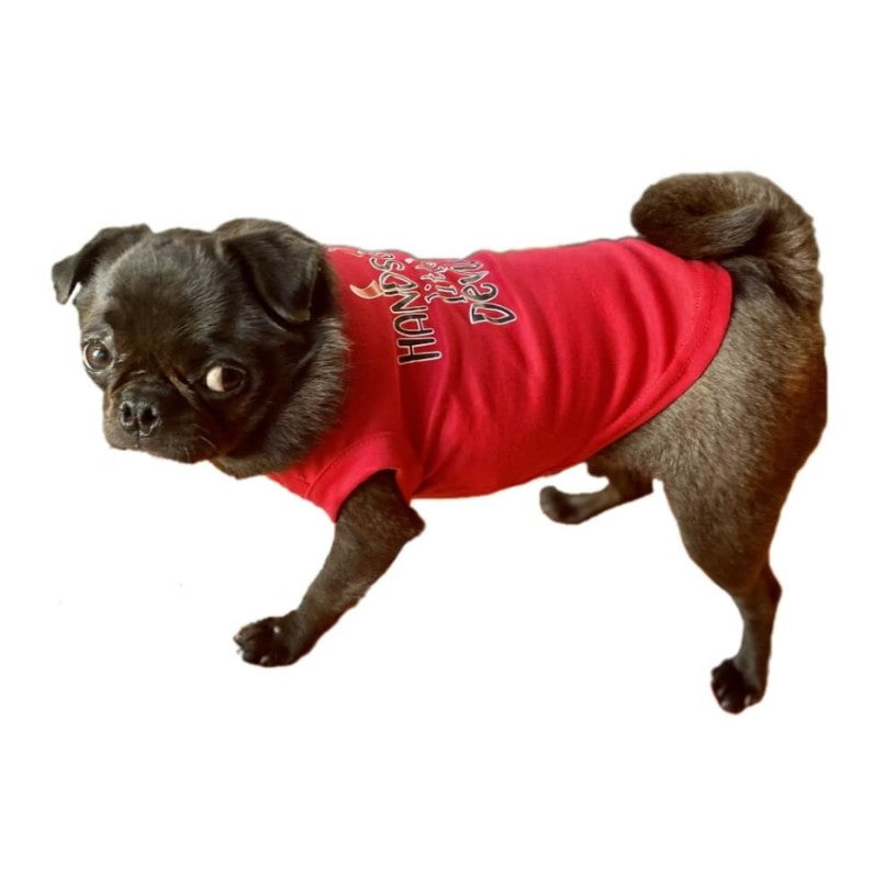 Shirt Red Handsome Devil