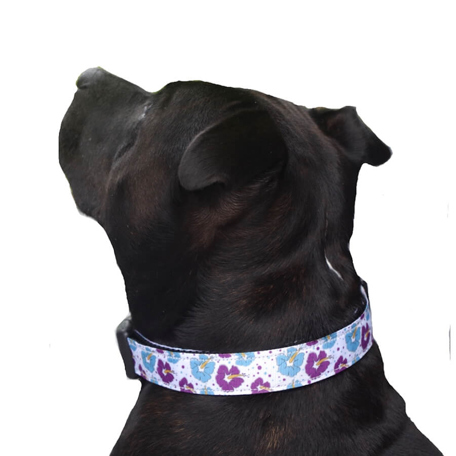 Luxury Collar Webbed Hibiscus Floral