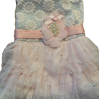 Dress Formal Sparkly Silver Pink Sash and Pearls