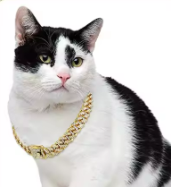 Necklace Sparkling Rhinestone Chain