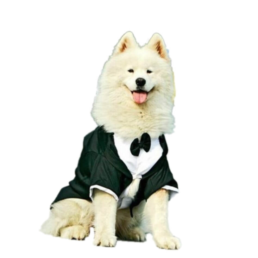 Tuxedo Coat Shirt and Bowtie Black Pinstripe