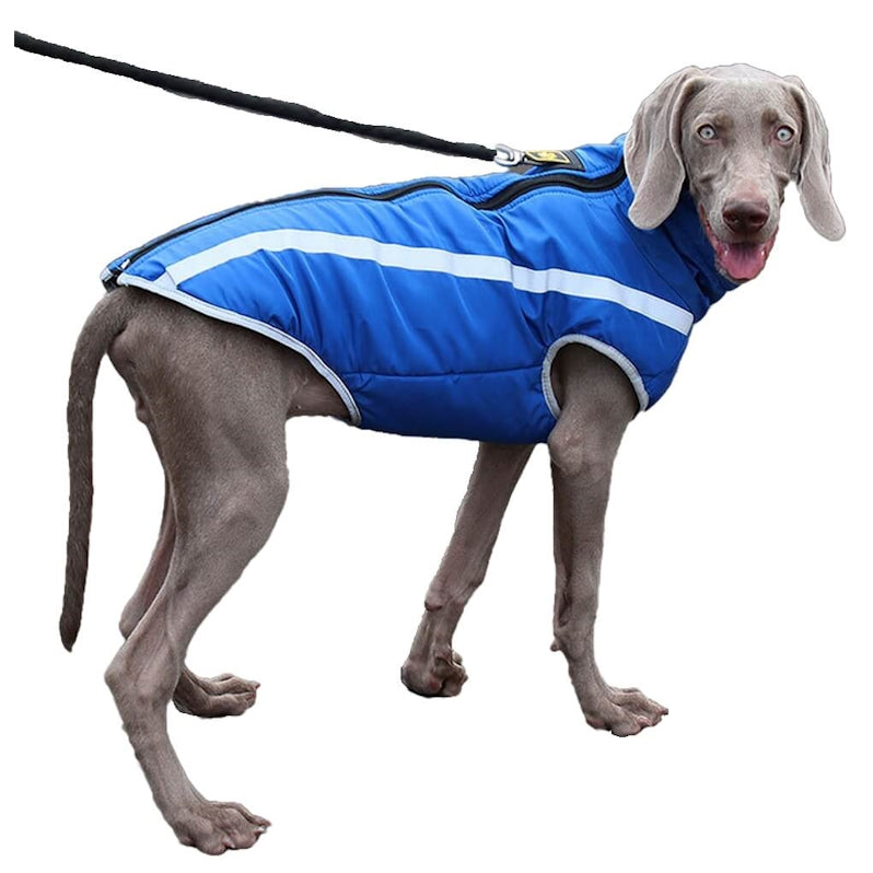 Coat Reflective Weatherproof Blue