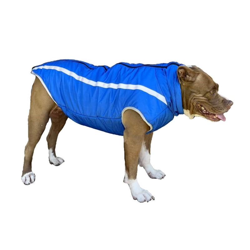 Coat Reflective Weatherproof Blue