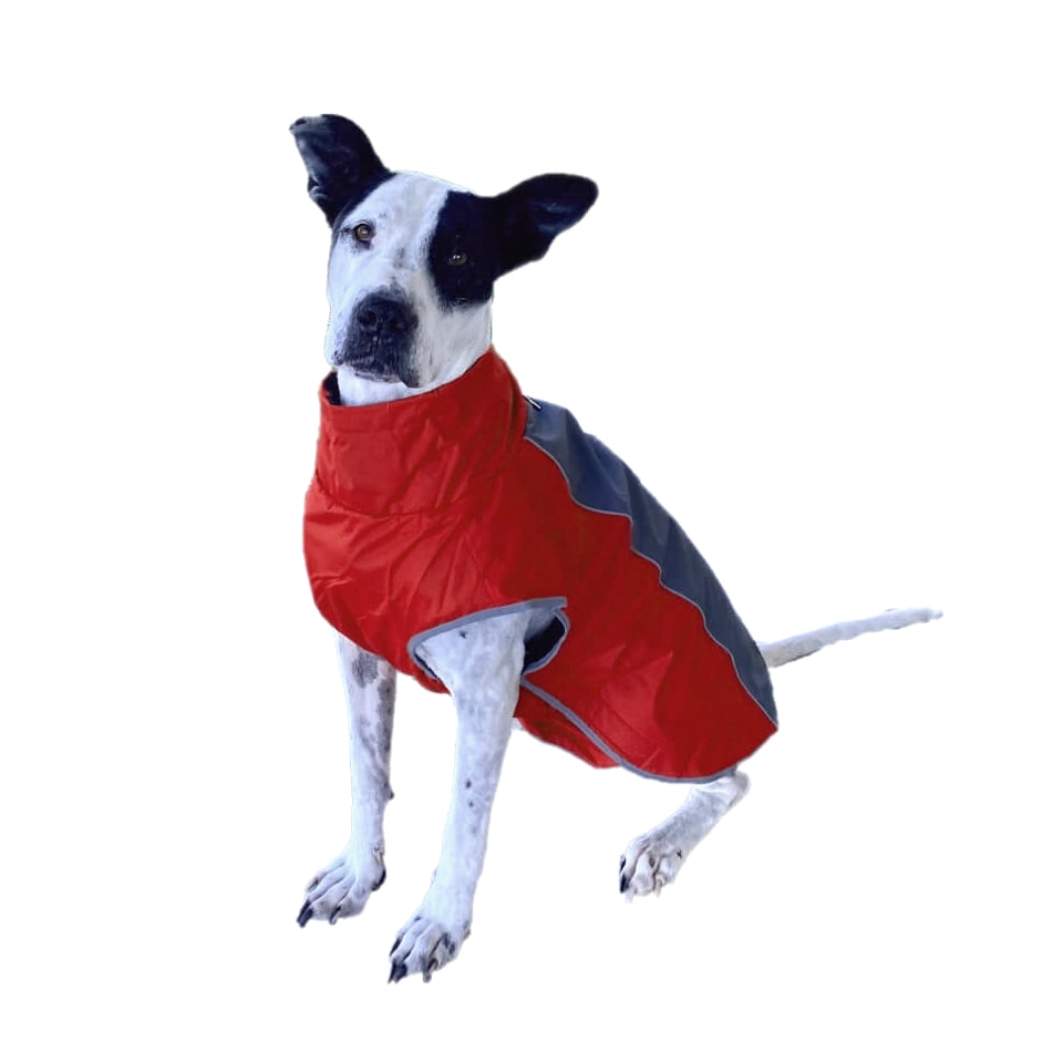 Coat Water Resistant