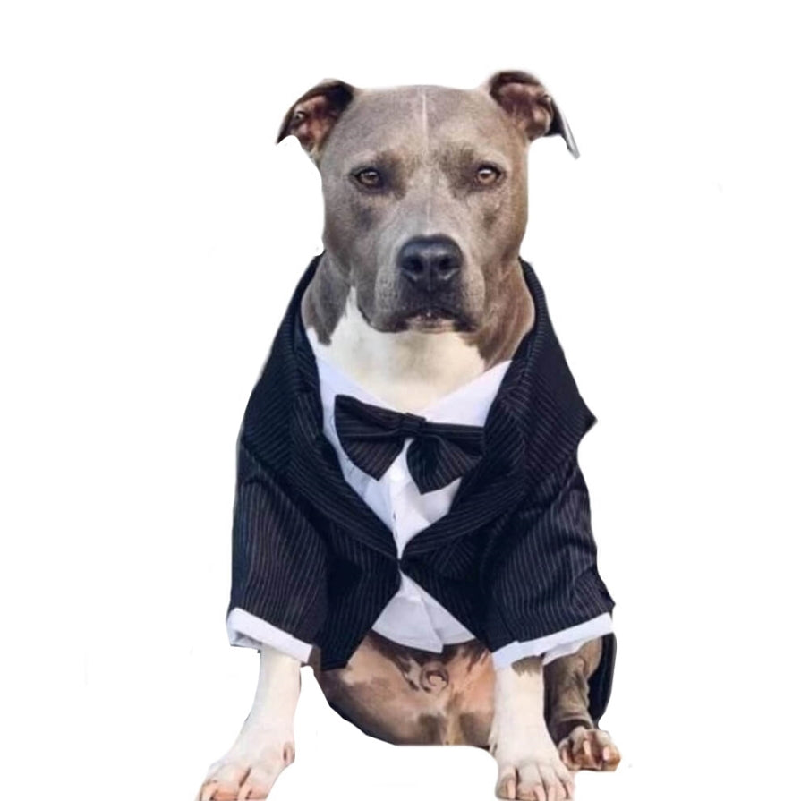 Tuxedo Coat Shirt and Bowtie Black Pinstripe