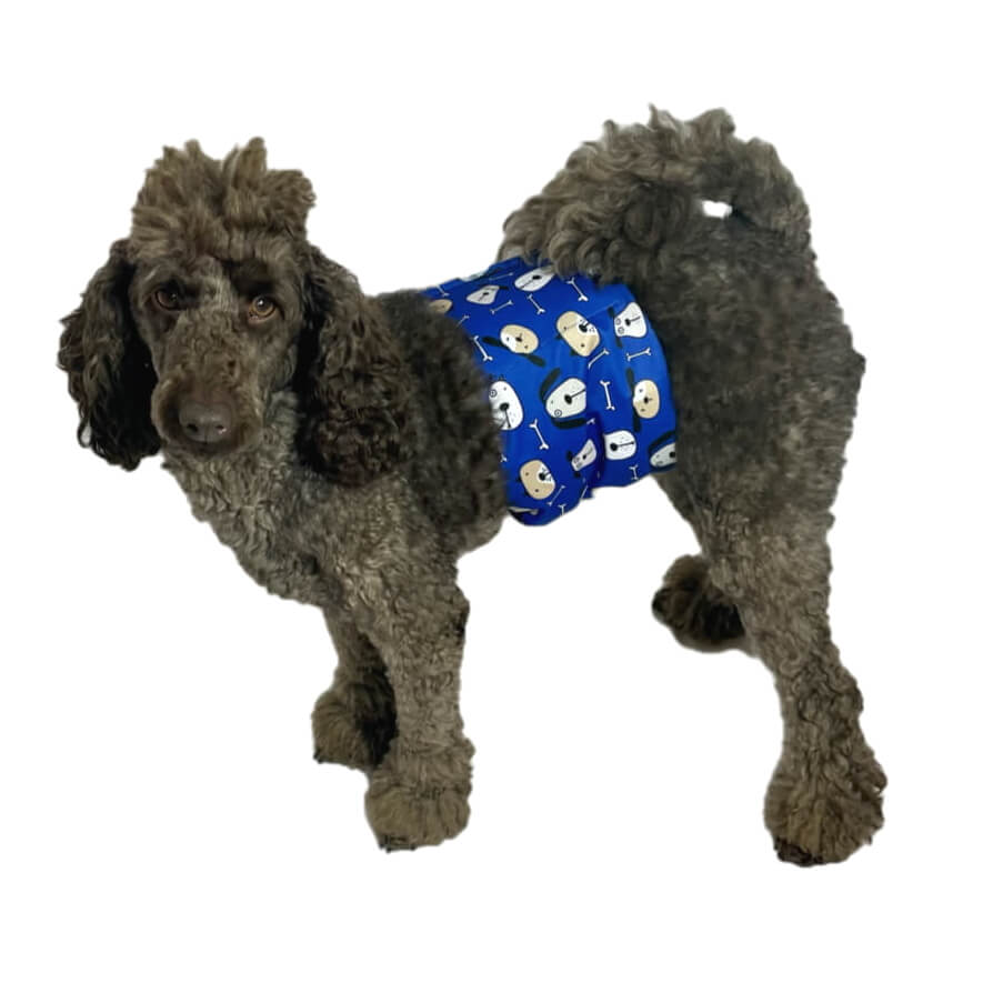 Belly Band Wrap Blue Houndz