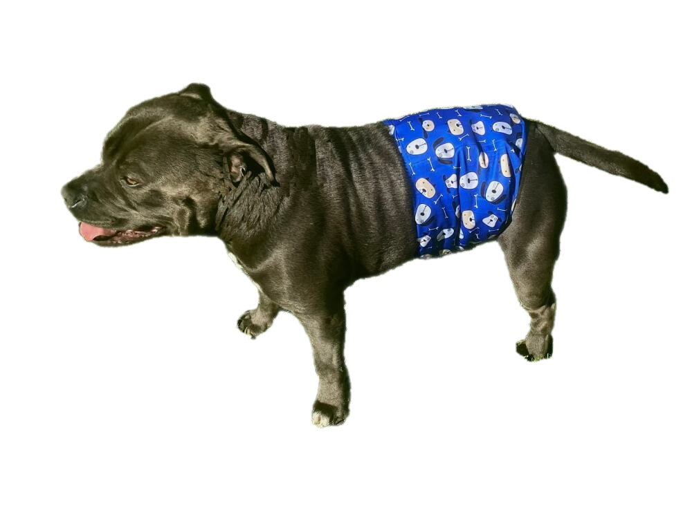 Belly Band Wrap Blue Houndz