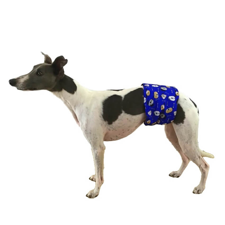 Belly Band Wrap Blue Houndz