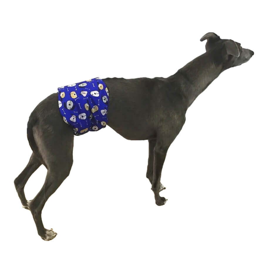 Belly Band Wrap Blue Houndz