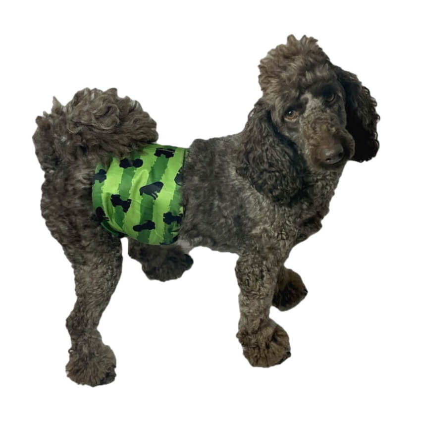 Belly Band Wrap Camo Canines