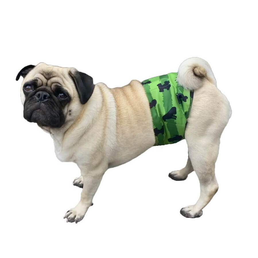 Belly Band Wrap Camo Canines