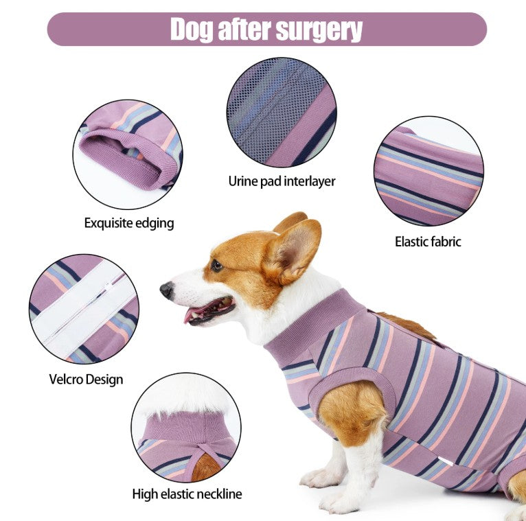 Dog Medical Recovery Jumpsuit Purple Multi