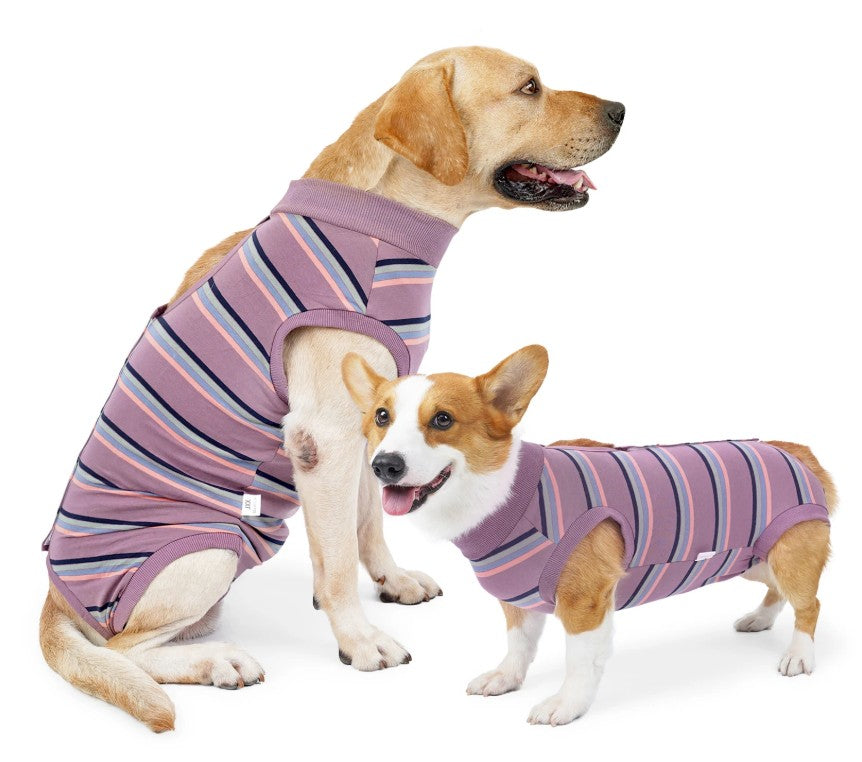 Dog Medical Recovery Jumpsuit Purple Multi