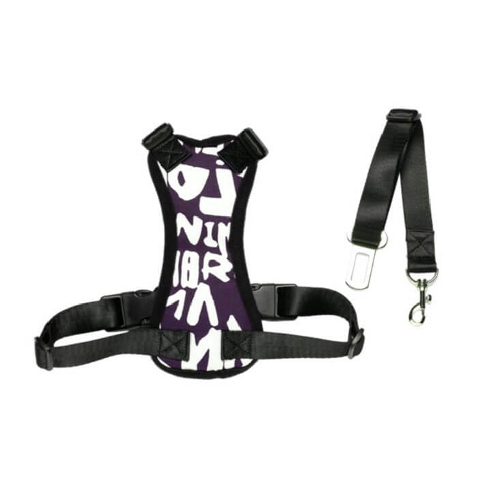 Car Harness with Restraint Belt