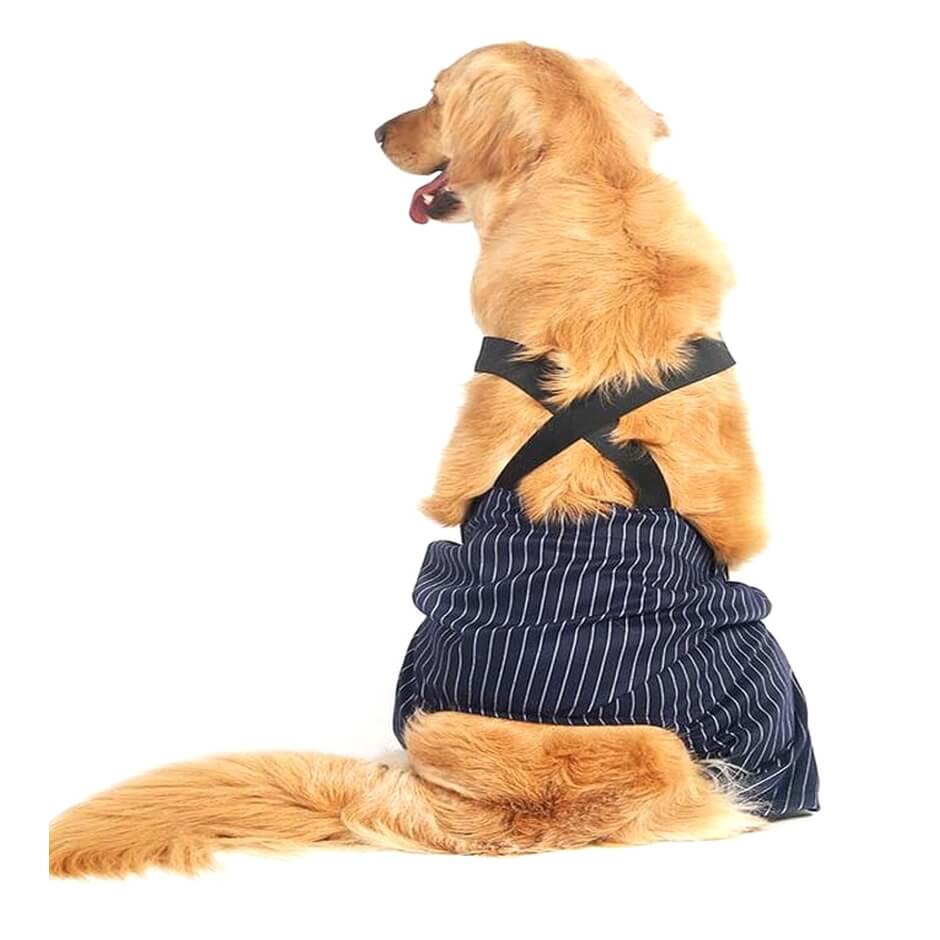 Pants with Brace Blue Pinstripe