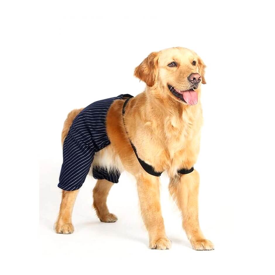 Pants with Brace Blue Pinstripe