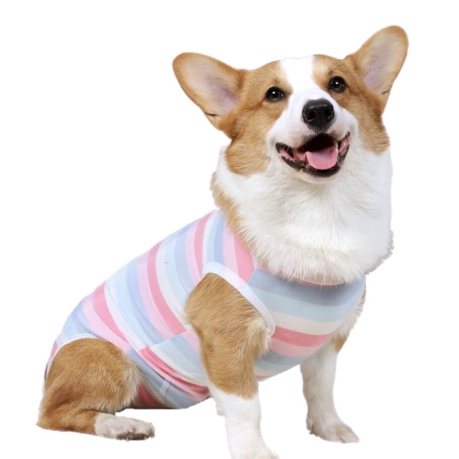 Dog Medical Recovery Jumpsuit Multicolour Stripes