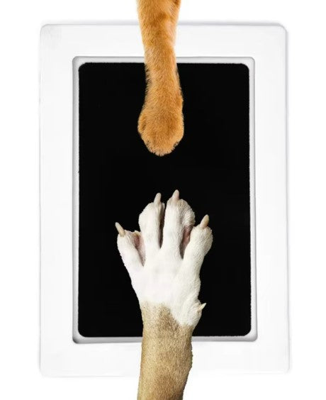 Paw Print Non-toxic Ink Kit