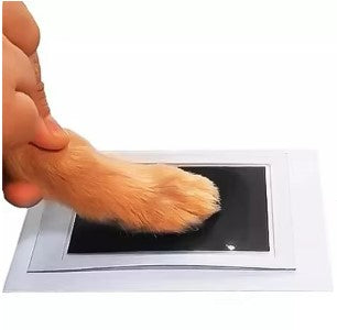 Paw Print Non-toxic Ink Kit