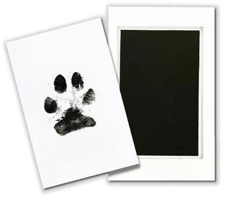 Paw Print Non-toxic Ink Kit