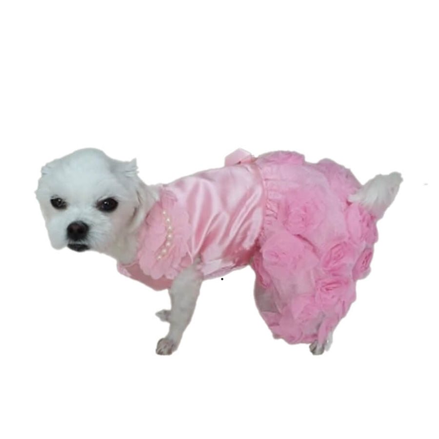 Dress Pink Party Rose