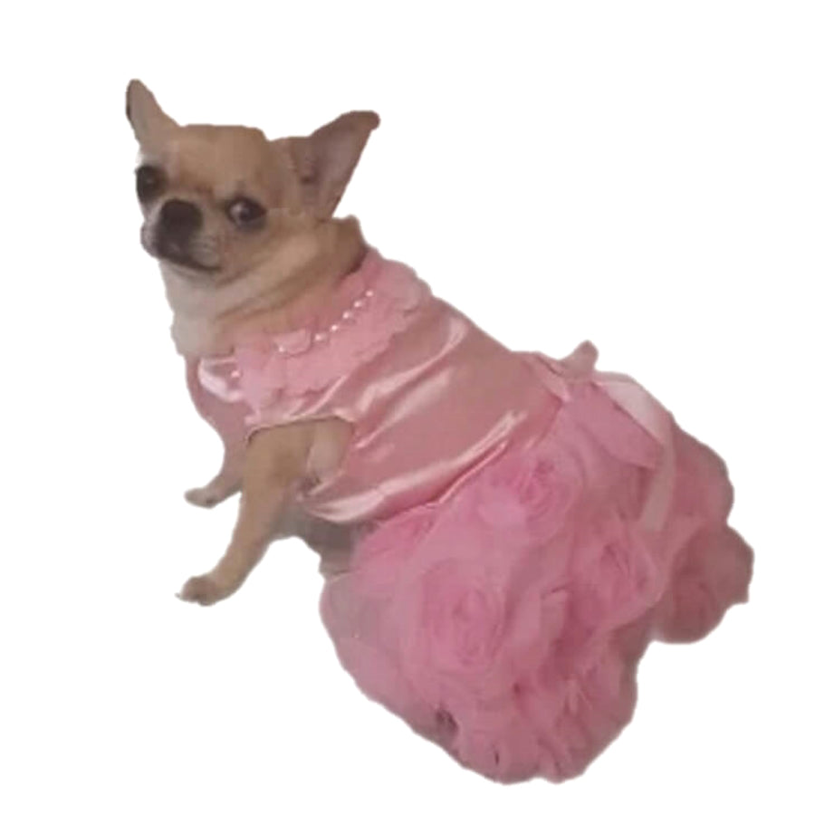 Dress Pink Party Rose