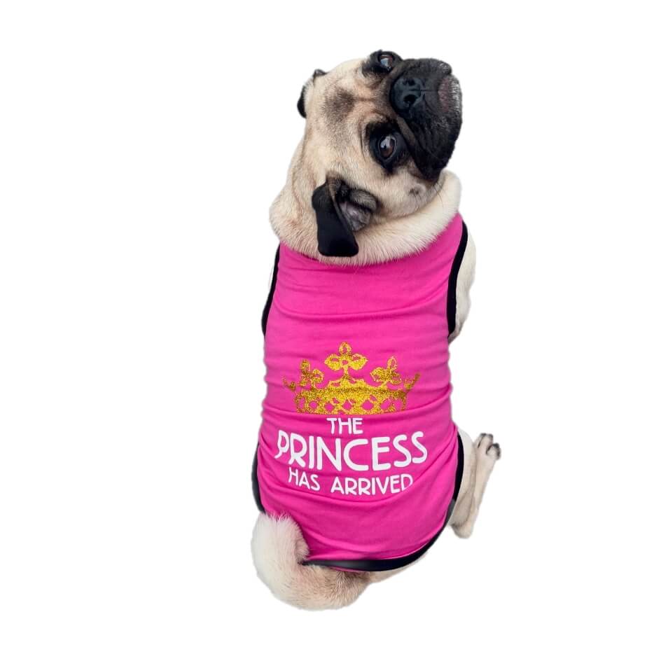 Shirt Princess or Prince Has Arrived