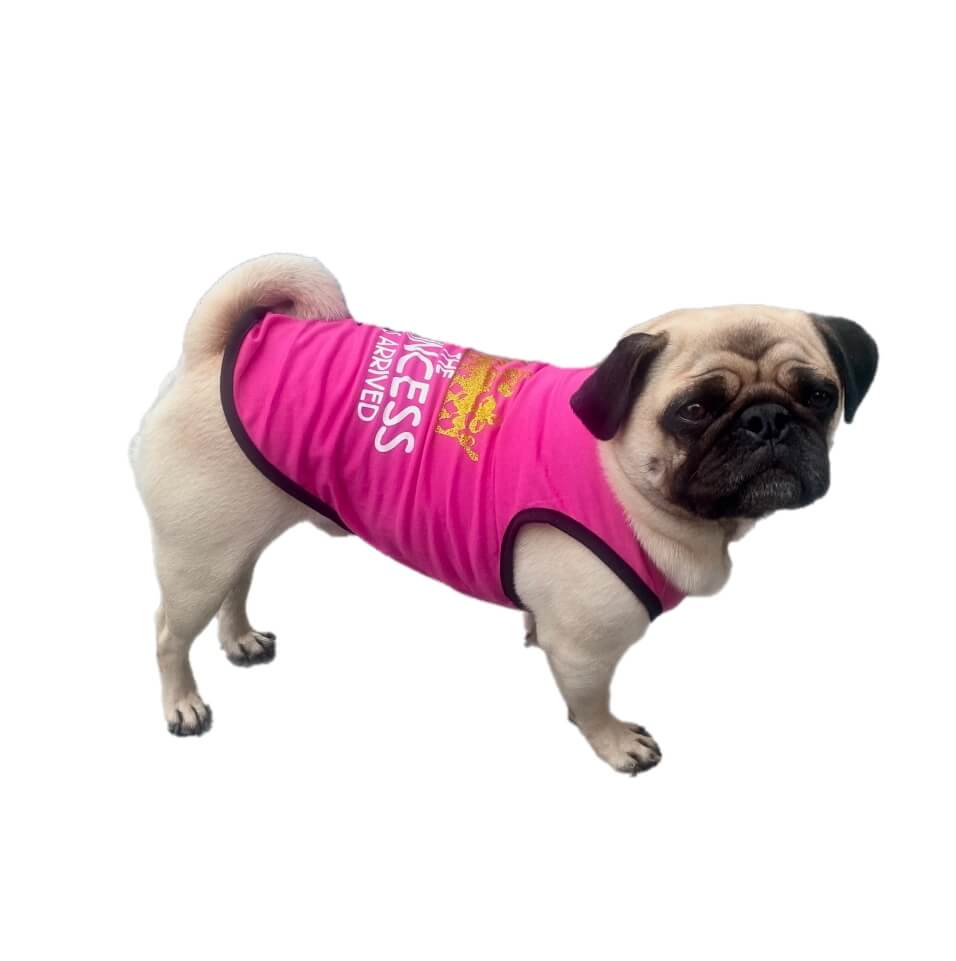 Shirt Princess or Prince Has Arrived