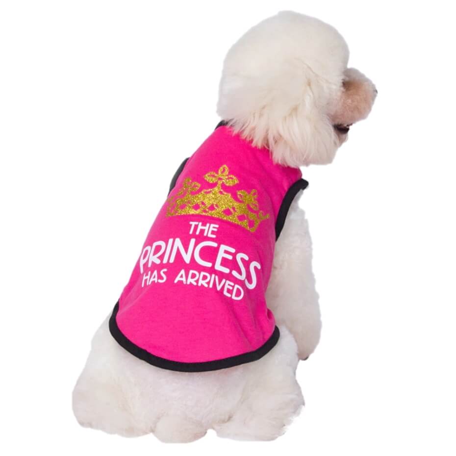 Shirt Princess or Prince Has Arrived