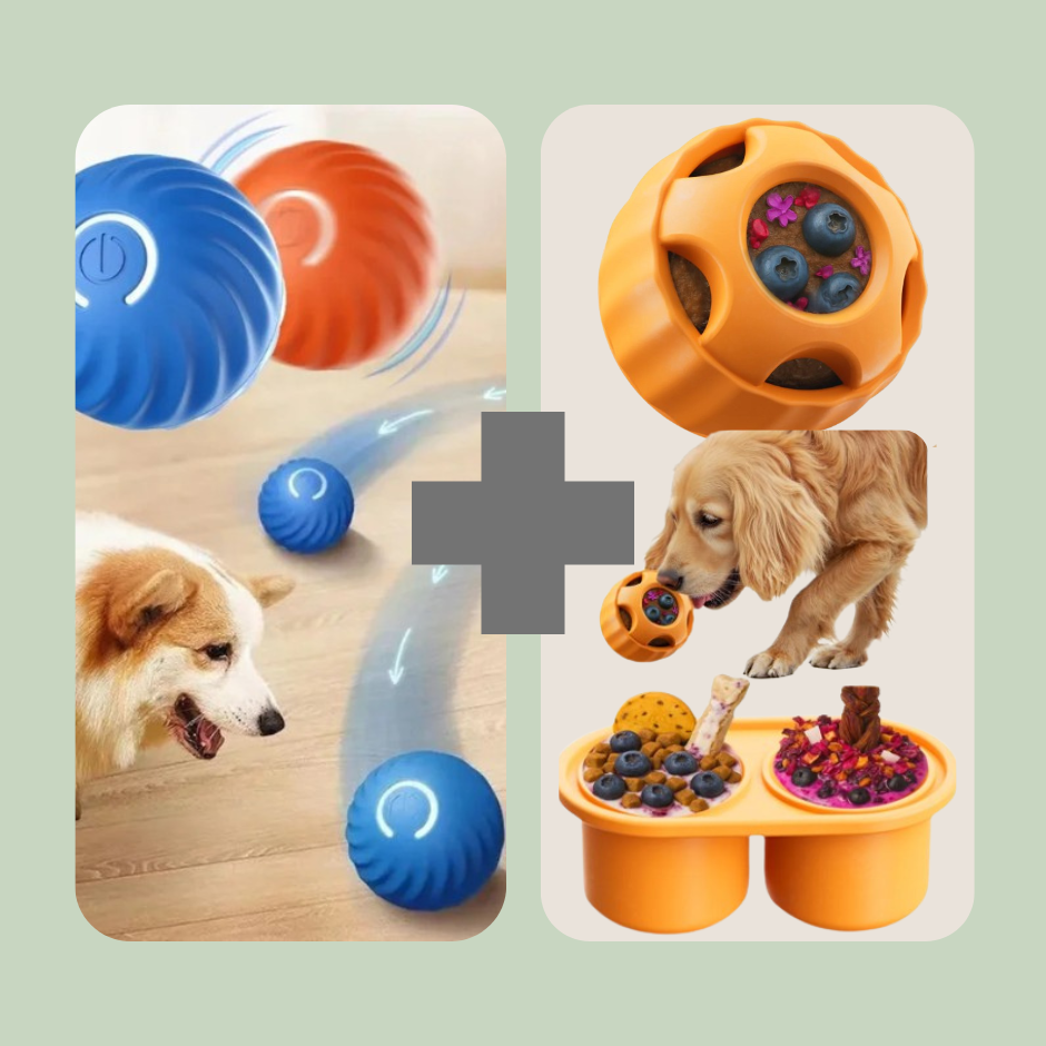 Play & Enrichment Pack
