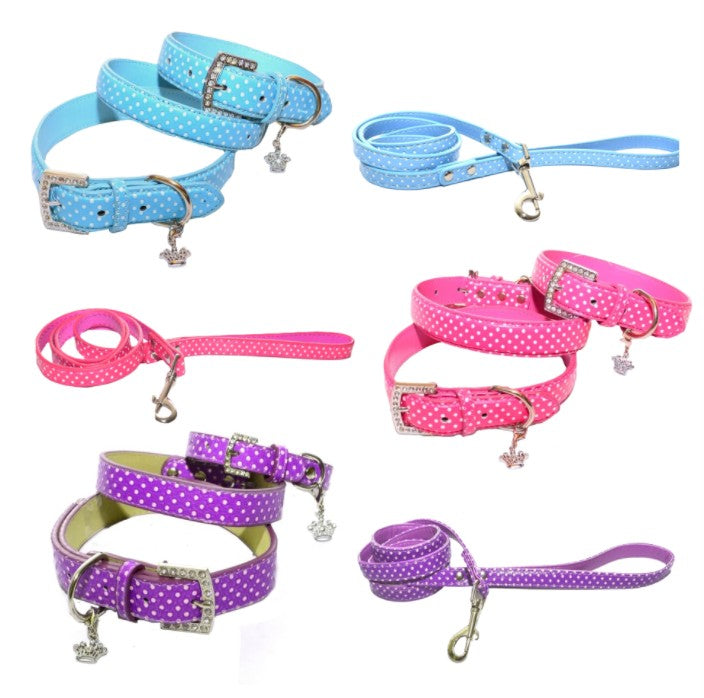 Collar or Lead Polka Dot