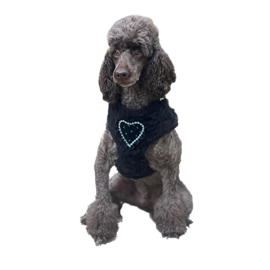 Harness Black Velvet Rhinestones Heart