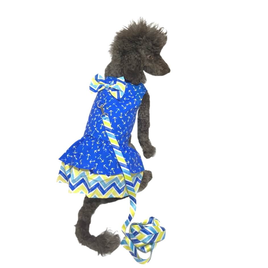 Dress Blue Anchors Away with Matching Lead