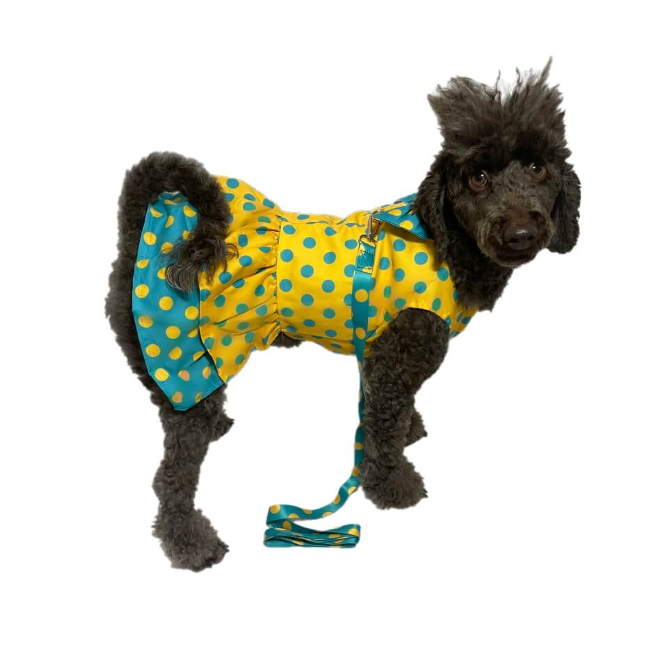 Dress Sunshine Spots with Matching Lead