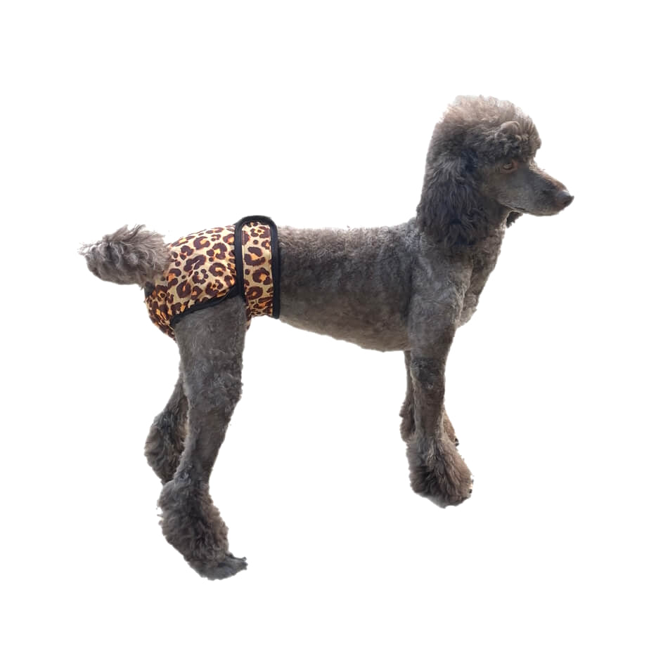 Sanitary Pants Luxury Leopard