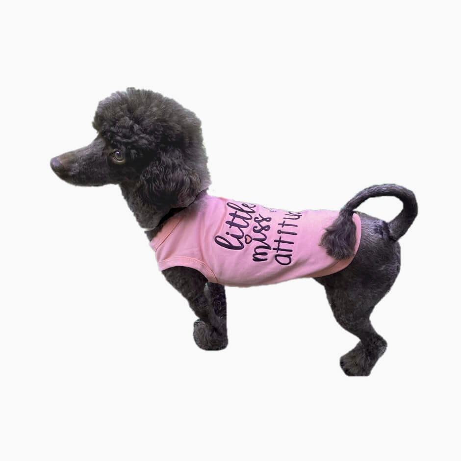 Shirt Pink Little Miss Attitude