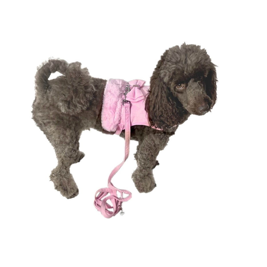 Harness Fur Trim with Lead