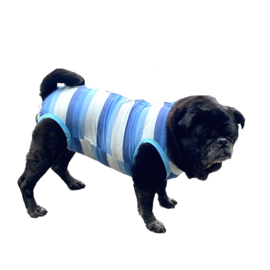 Dog Medical Recovery Jumpsuit Multicolour Stripes