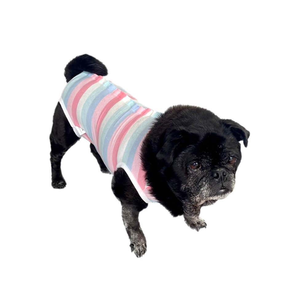 Dog Medical Recovery Jumpsuit Multicolour Stripes
