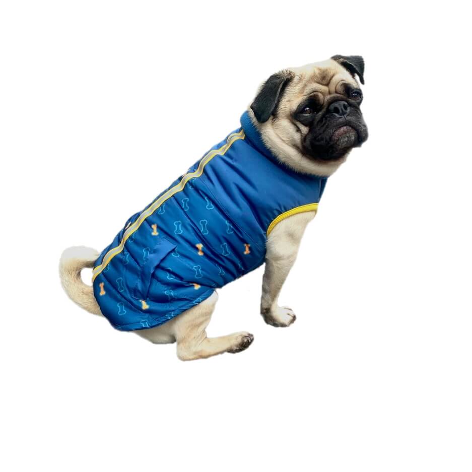 Coat Blue Bone Reflective