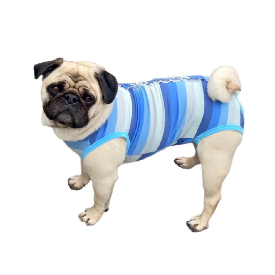 Dog Medical Recovery Jumpsuit Multicolour Stripes