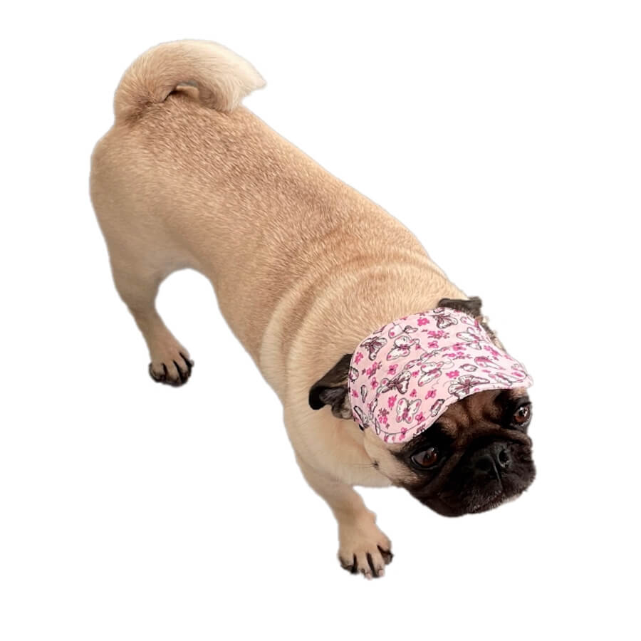 Hat Cap with Chin Strap