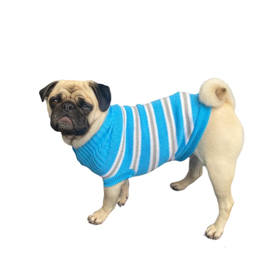 Sweater Blue Stripe