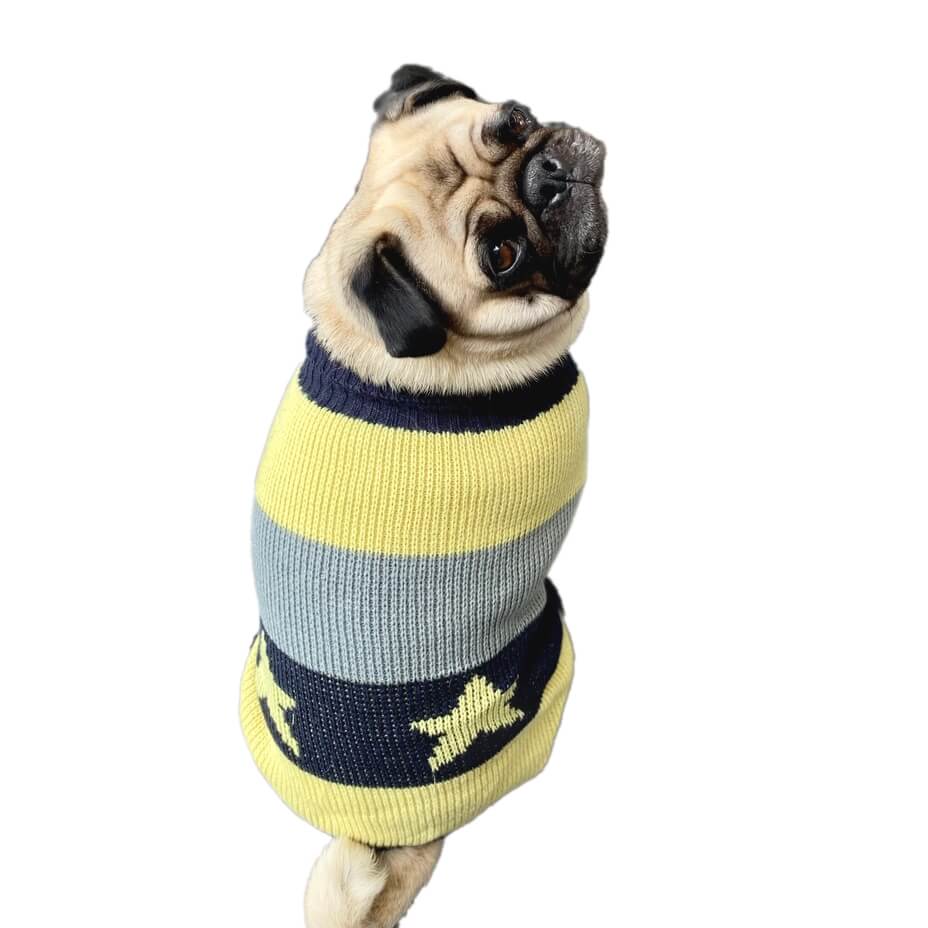 Sweater Stars and Stripes