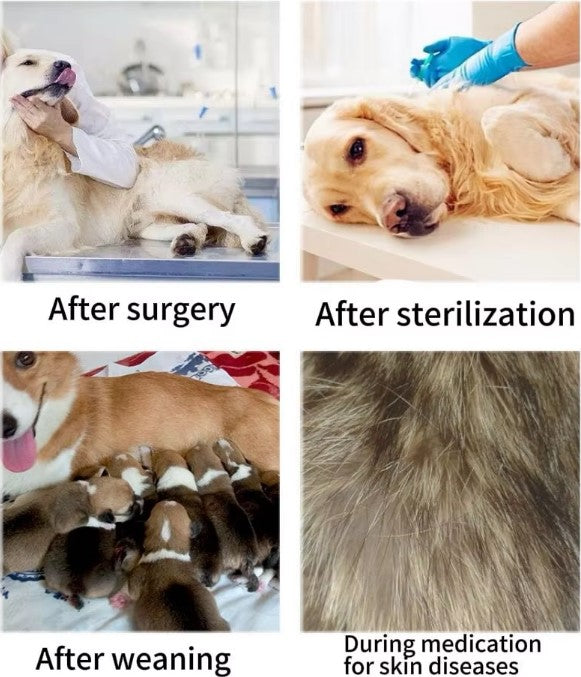 Dog Medical Recovery Jumpsuit Stripes