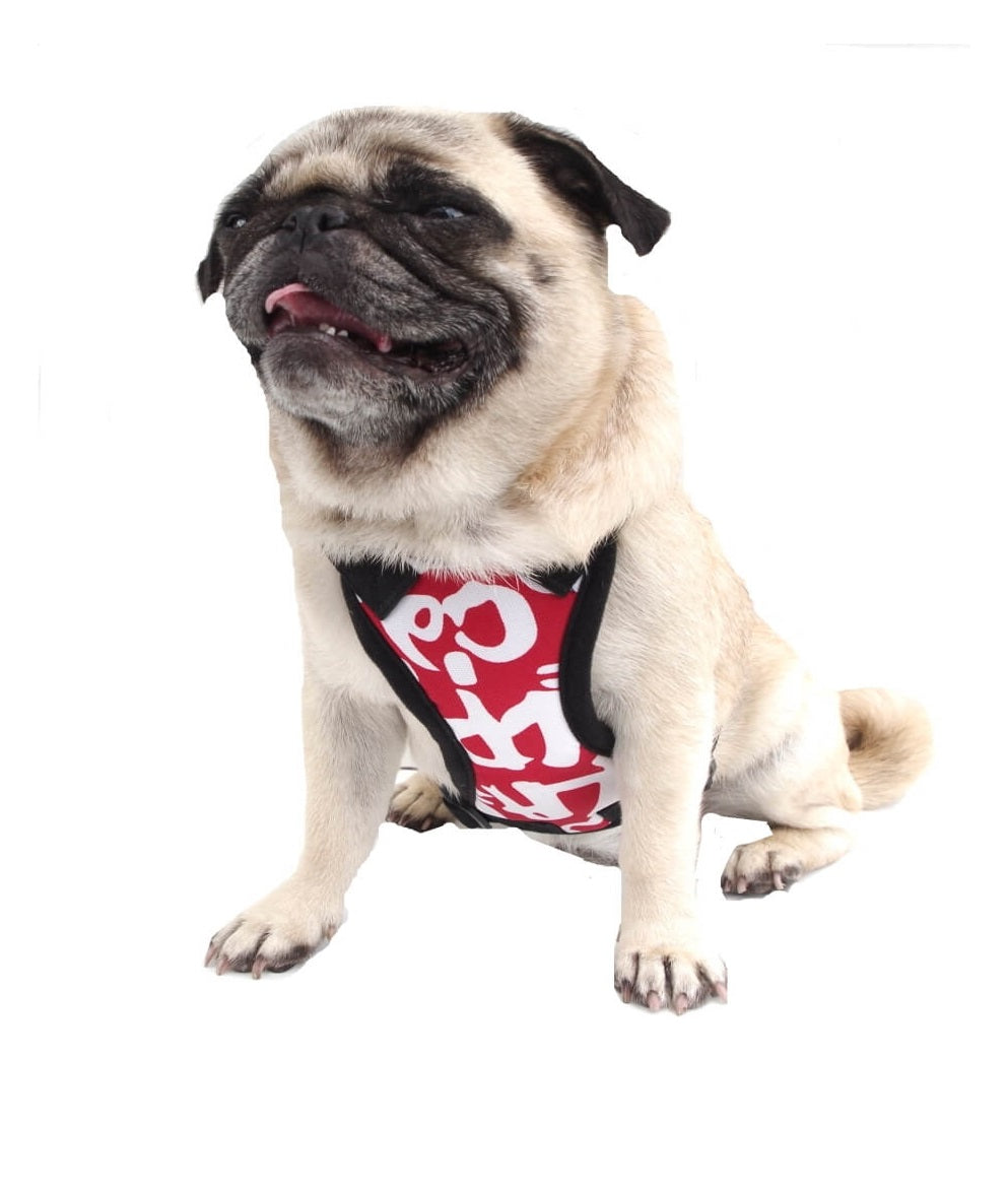 Car Harness with Restraint Belt