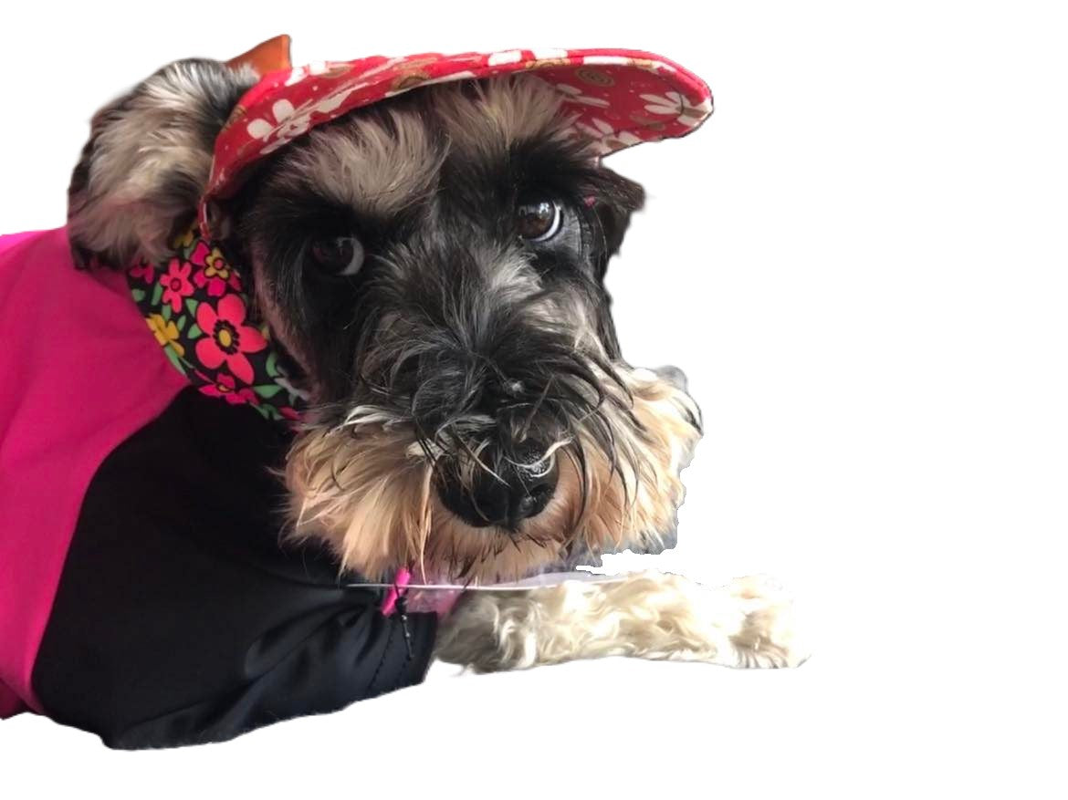 Hat Cap with Chin Strap